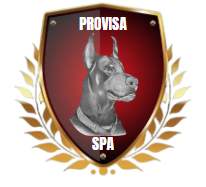 LOGO2